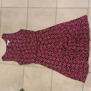 Diane von Furstenberg Flower Print Dress